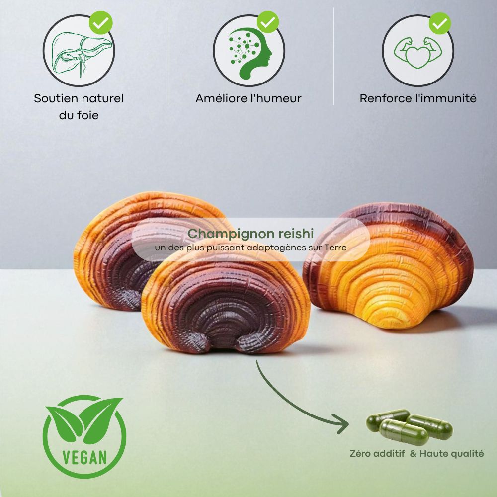 Reishi VITALIS Booster - Pur Extrait de Champignon