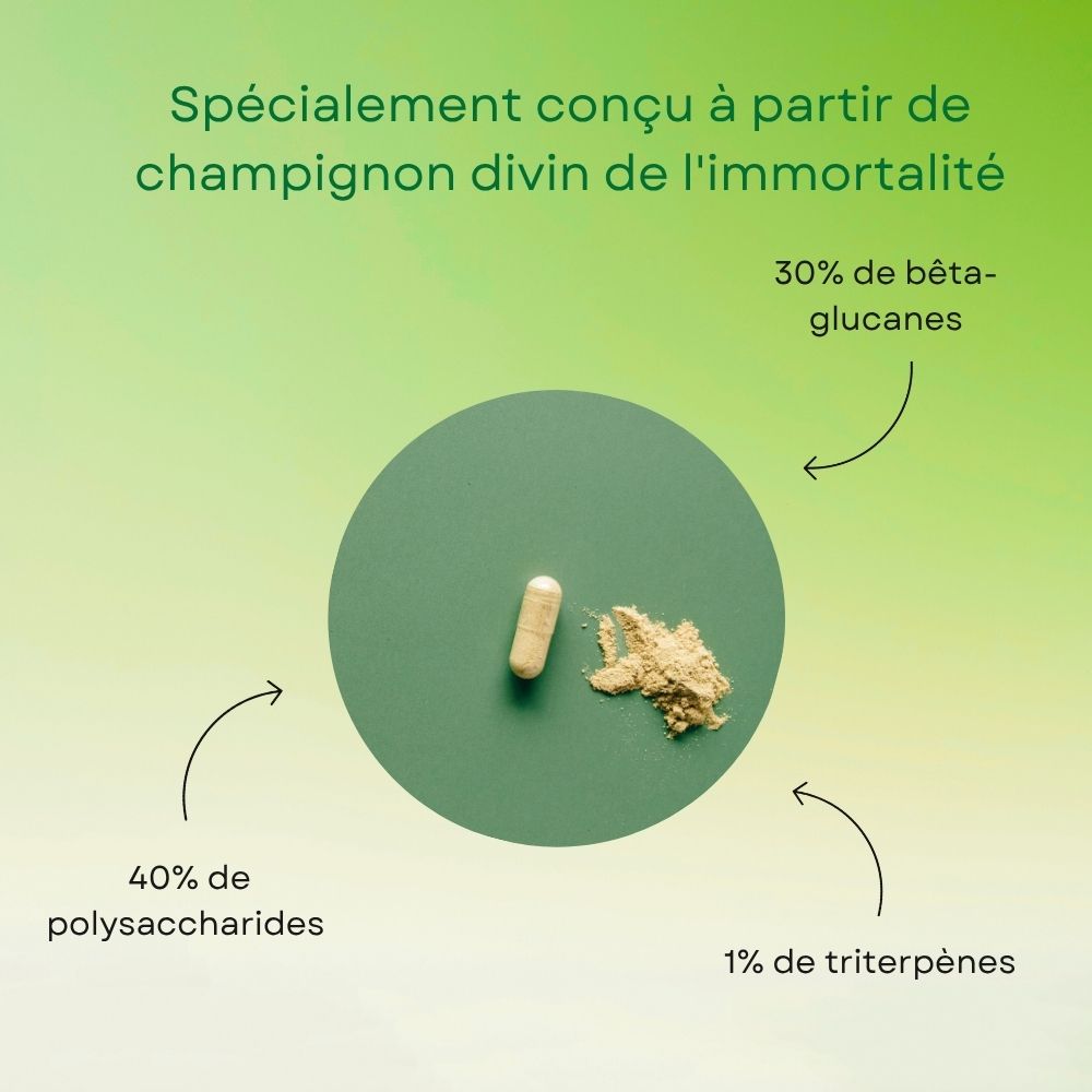 Reishi VITALIS Booster - Pur Extrait de Champignon
